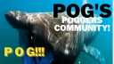 Ooz’s Community banner
