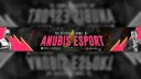ANUBIS ESPORTS INDIA banner