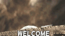banner
