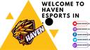 Haven Esports  IN Banner