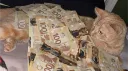 night Discord server banner