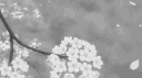 𝟏𝟕 𝐉𝐮𝐧 banner