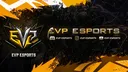 EVP ESPORTS 🇮🇳 banner