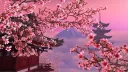Reino de Sakura 🌺 banner