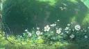 ꒰꒰🐸﹒Froggies Pond ₊ ᘐ banner