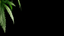 Common Ground Community banner