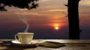 Hali's Teadom banner