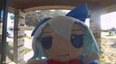 Nekostar Banner