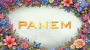 𝐏𝐀𝐍𝐄𝐌 Discord server banner