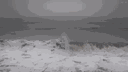 aurora ⸝⸝ server banner