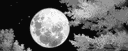 Endless Nights Gaming banner