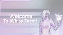 Spartan Team White banner