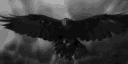 𝑇𝐻𝐸 Hollow banner