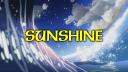 Sunshine #800 Banner