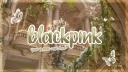 BLΛƆKPIИK | 블랙핑크 tag Banner