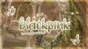 BLΛƆKPIИK | 블랙핑크 tag ♡ server banner