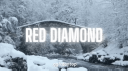 RED DIAMOND™ | Community • Social • Chill • Gwys • Gaming • Pfp • More banner
