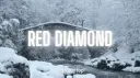RED DIAMOND™ | Community • Social • Chill • Gwys • Gaming • Pfp • More banner