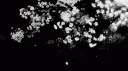deathbed♡ banner