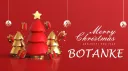 BoTanke's Bulk Buys banner