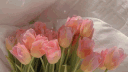 ࣪♡ ﹐🪐﹒ euphoria ﹑ ✿ banner