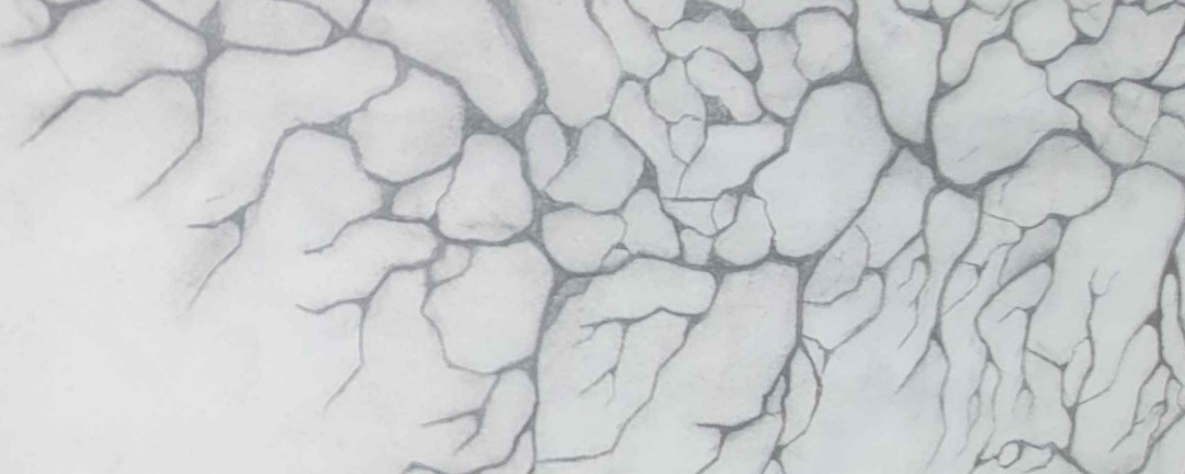 Lex Banner