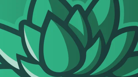 BloomRP banner