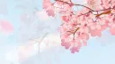 𝘎𝘪𝘧𝘵𝘪𝘯𝘨 𝘉𝘭𝘰𝘴𝘴𝘰𝘮𝘴 ♥ server banner