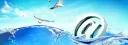 banner