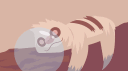Sleepy Sloths banner