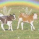 𝑒𝓂𝑒𝓇𝒶𝓁𝒹 Banner