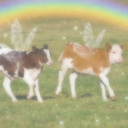 ๐๐๐๐๐ถ๐๐น Discord server banner