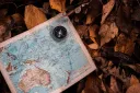 MLU • Geography • International Relations • Vexillology Discord server banner