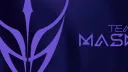 Team Mask banner