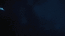 Im Mr KNIFE banner