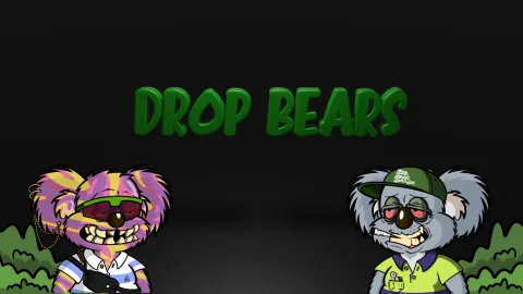 Drop Bears banner