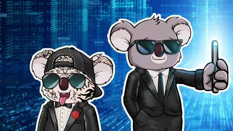 Koala Intelligence Agency banner