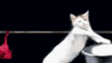 DEVILISH banner