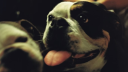 Kenny Mason server banner