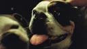 Kenny Mason Discord server banner