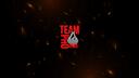 TEAM PHOENIX Banner