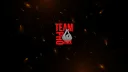 TEAM PHOENIX banner