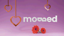 Modded banner