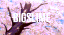 BigSlime CSC banner