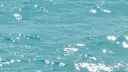 IS WHAT IT IS server banner