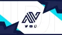TEAM AVIDITY banner