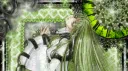 ✧•┈𝐶’𝑠 𝑊𝑜𝑟𝑙𝑑 💚 Discord server banner