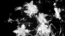 /paranoia ◡̈ Discord server banner