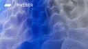PHIBER banner