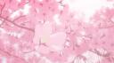 Anime City ﹒ Anime ﹒Cosplay ﹒ Social Events Banner